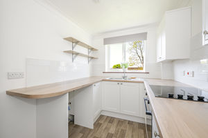 Photo 2- click for photo gallery